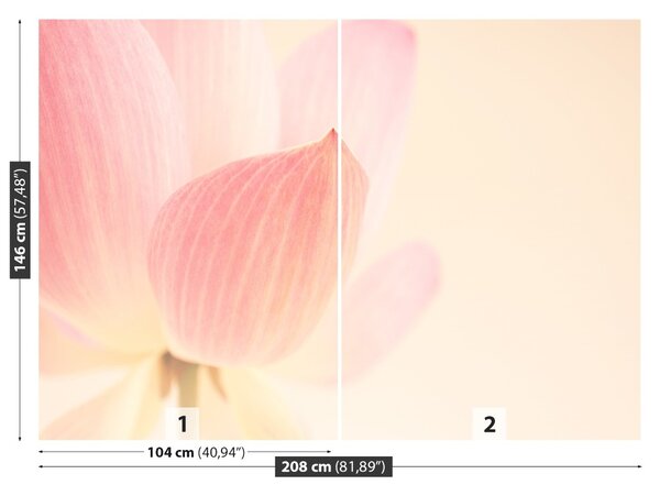 Fototapet roz Lotus