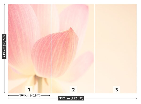 Fototapet roz Lotus