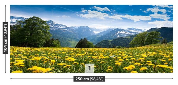 Fototapet Munții lactate