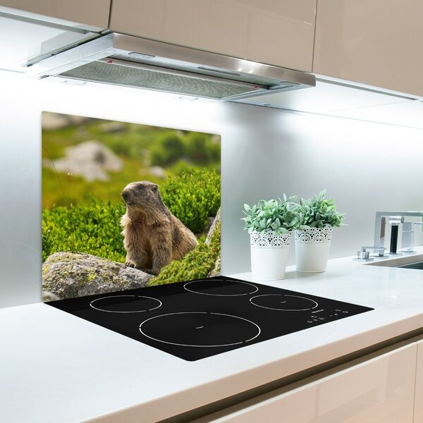 Tocator din sticla Marmot tatra