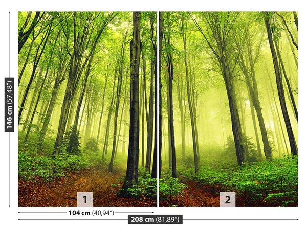 Fototapet ceaţă Forest