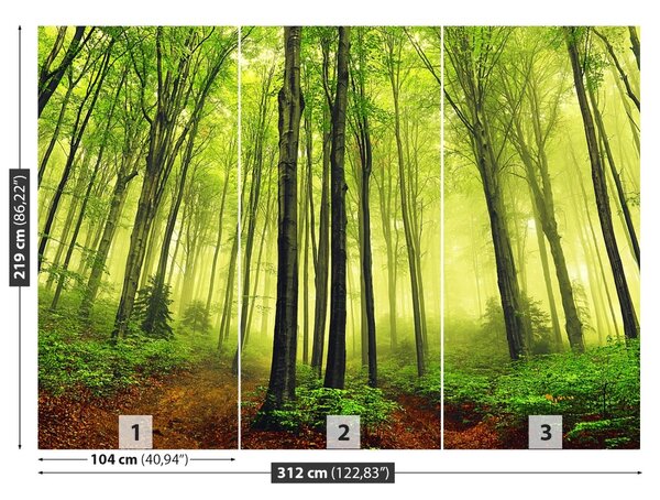 Fototapet ceaţă Forest