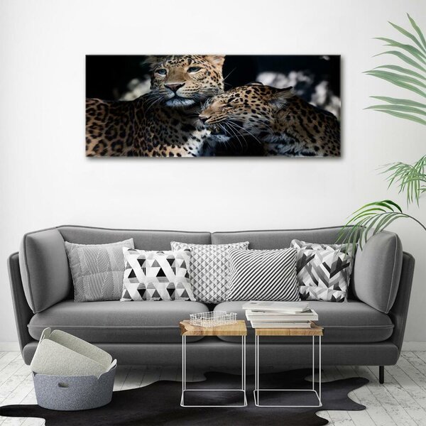 Tablou sticlă doi leoparzi