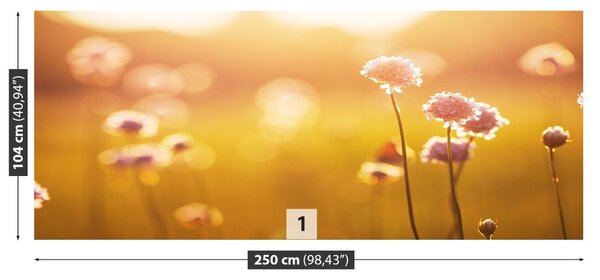 Fototapet Flori roz