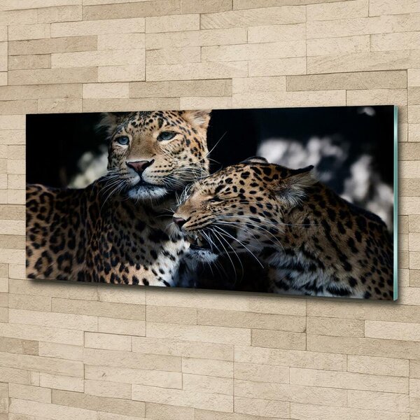 Tablou sticlă doi leoparzi