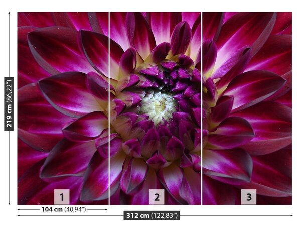 Fototapet Aster Purple