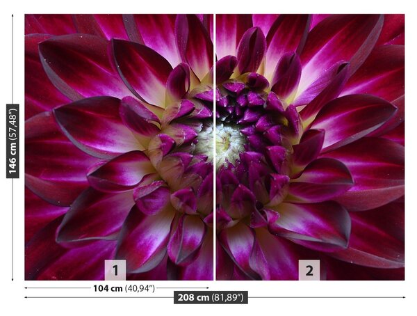 Fototapet Aster Purple