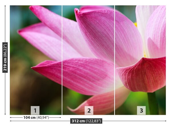 Fototapet roz Lotus