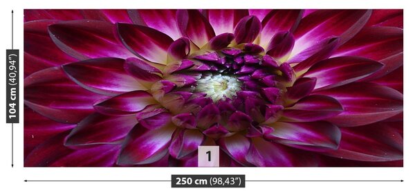 Fototapet Aster Purple