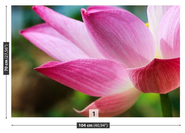 Fototapet roz Lotus