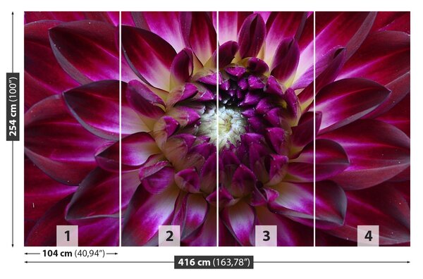 Fototapet Aster Purple