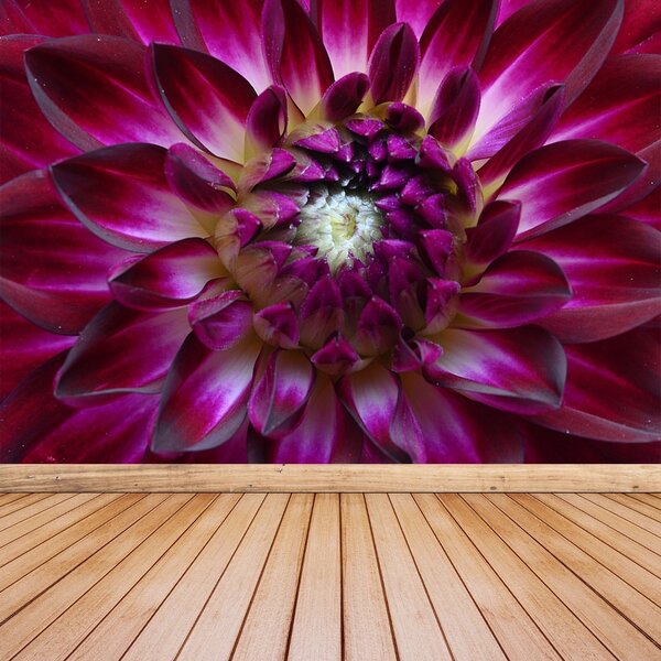 Fototapet Aster Purple