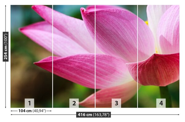 Fototapet roz Lotus