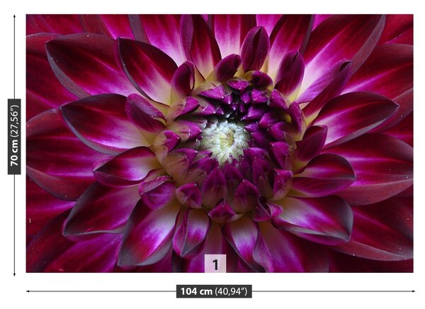 Fototapet Aster Purple