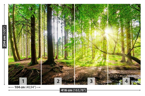 Fototapet Forest Of The Sun
