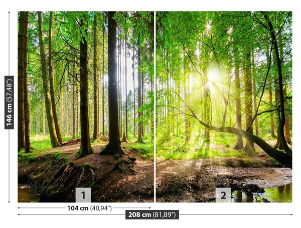 Fototapet Forest Of The Sun
