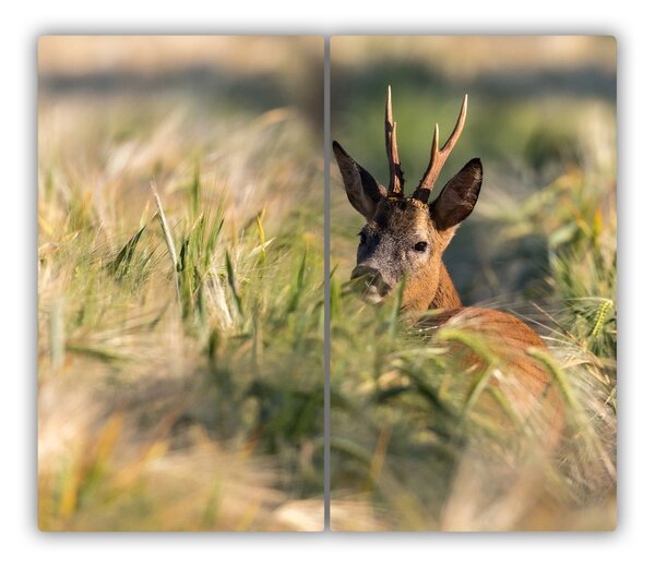 Tocator din sticla câmp Deer
