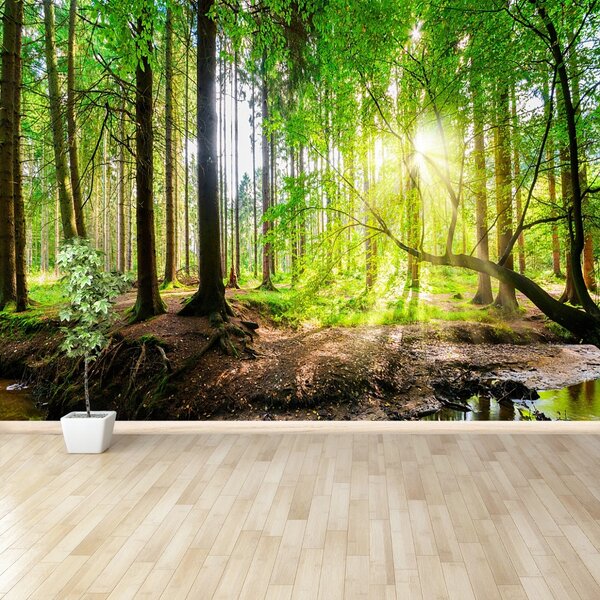 Fototapet Forest Of The Sun