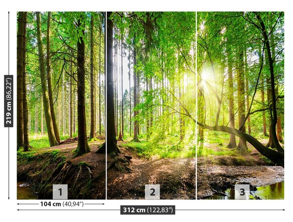 Fototapet Forest Of The Sun