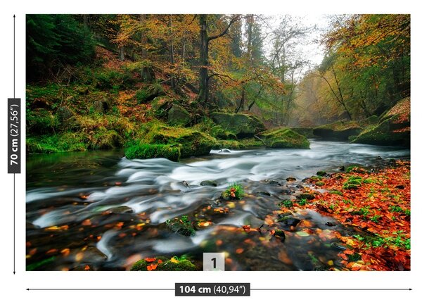 Fototapet Toamna Stream