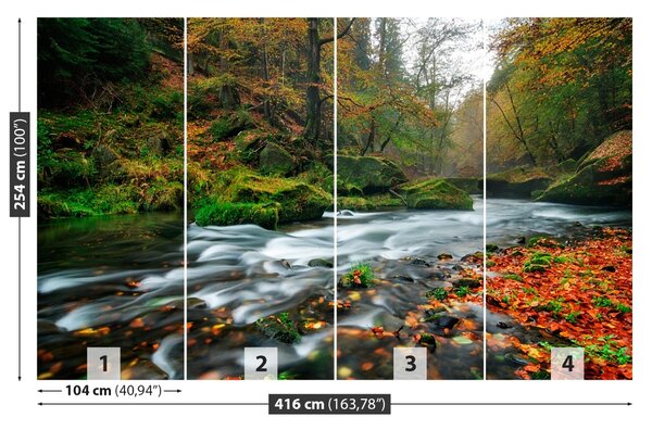 Fototapet Toamna Stream