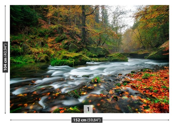 Fototapet Toamna Stream