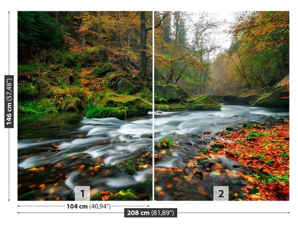 Fototapet Toamna Stream