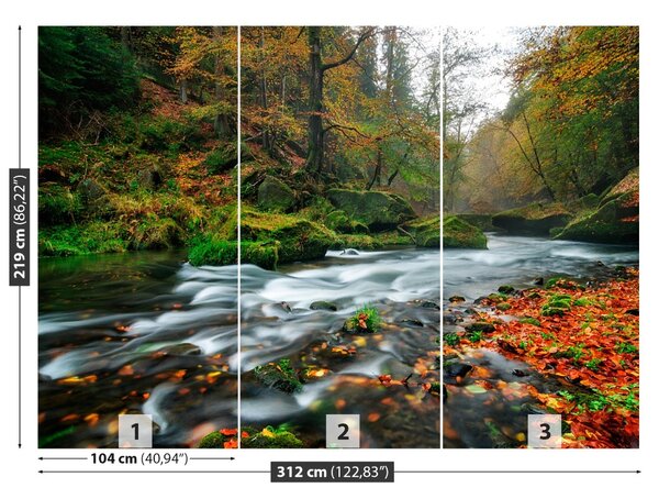 Fototapet Toamna Stream