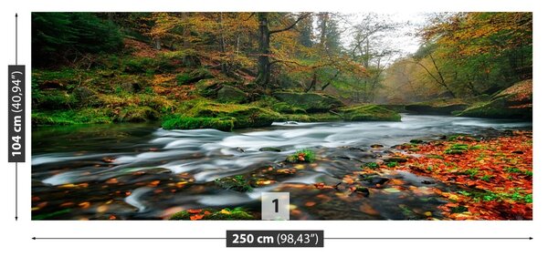 Fototapet Toamna Stream