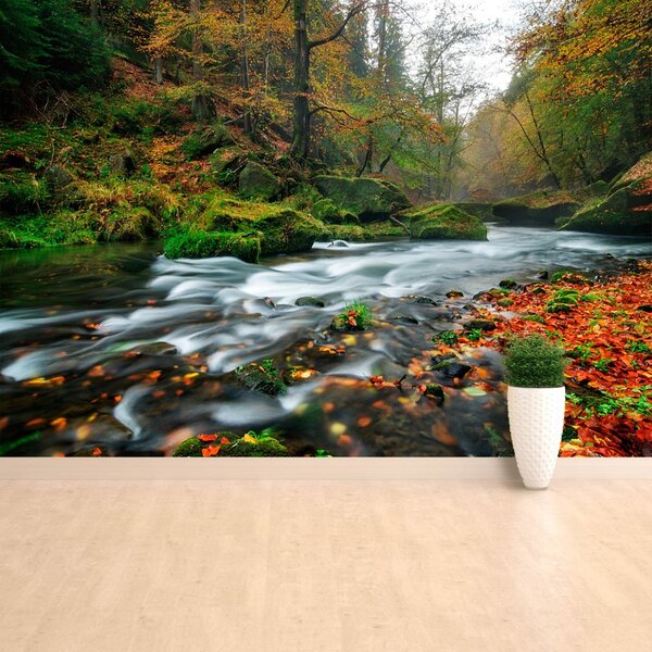 Fototapet Toamna Stream