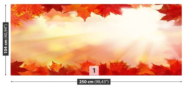 Fototapet Frunze de artar