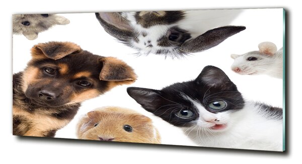 Tablou din Sticlă Animale de companie