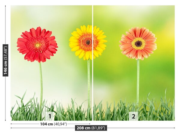 Fototapet Gerbera