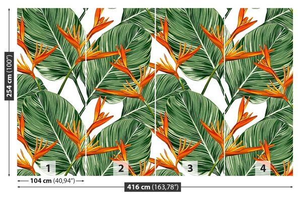 Fototapet Royal Strelitzia