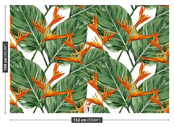 Fototapet Royal Strelitzia