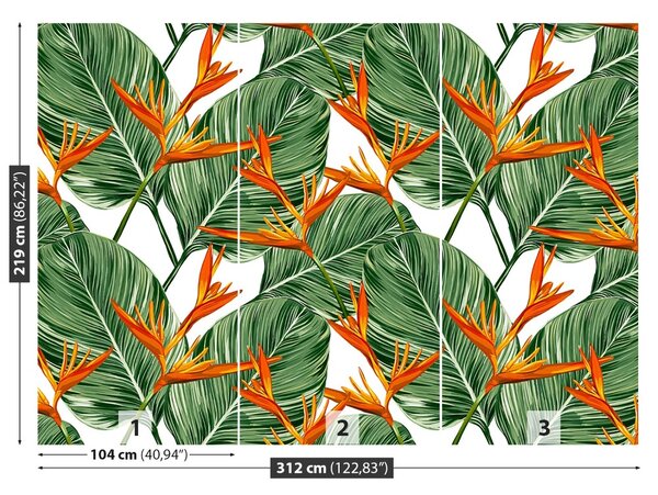 Fototapet Royal Strelitzia