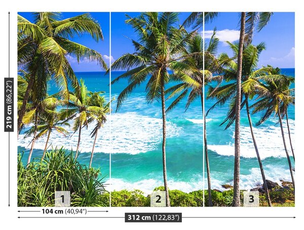 Fototapet Palm Beach Copaci