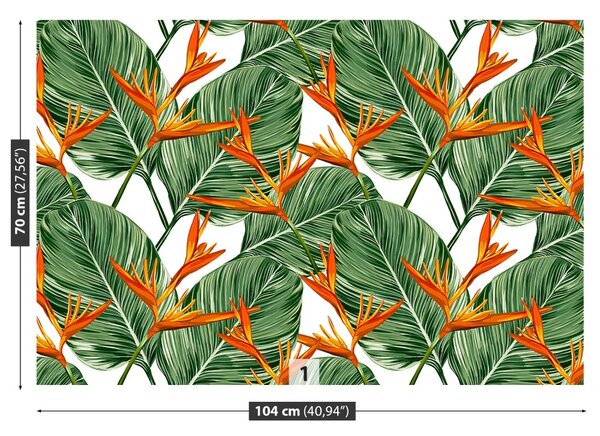Fototapet Royal Strelitzia