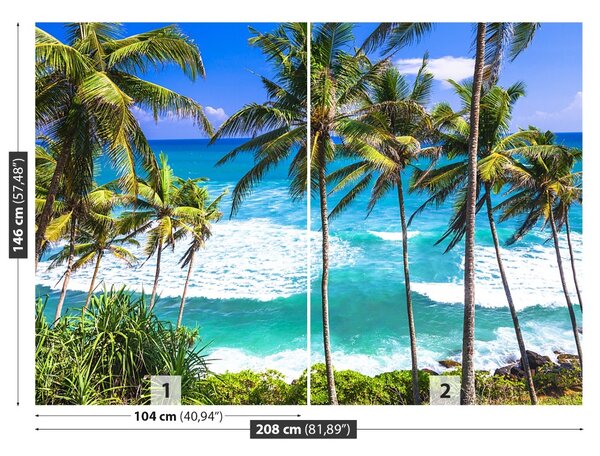 Fototapet Palm Beach Copaci