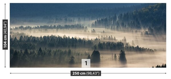 Fototapet Munții Pădurea
