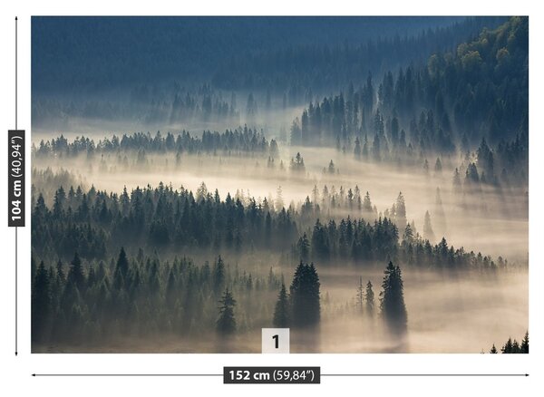 Fototapet Munții Pădurea