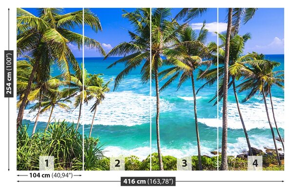 Fototapet Palm Beach Copaci
