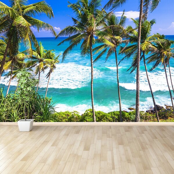 Fototapet Palm Beach Copaci