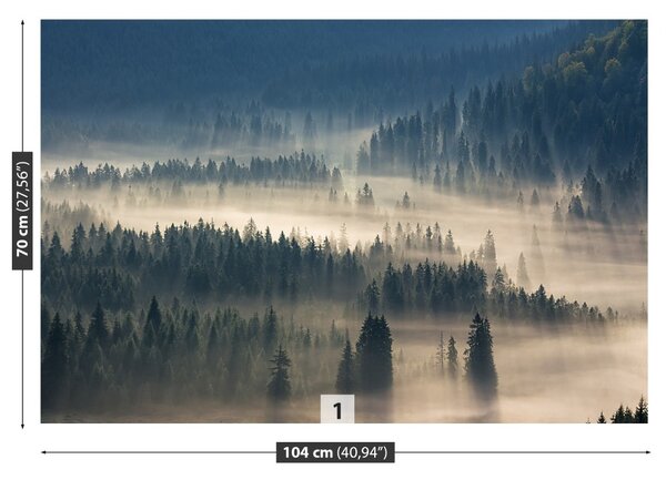 Fototapet Munții Pădurea
