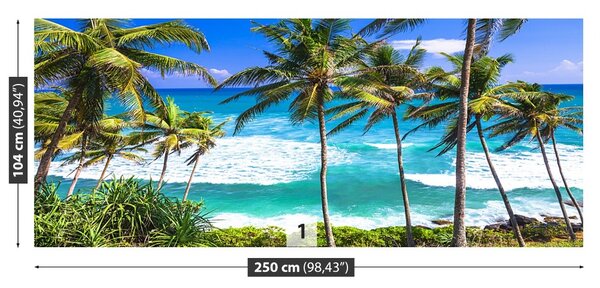 Fototapet Palm Beach Copaci