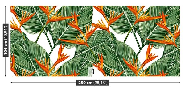 Fototapet Royal Strelitzia