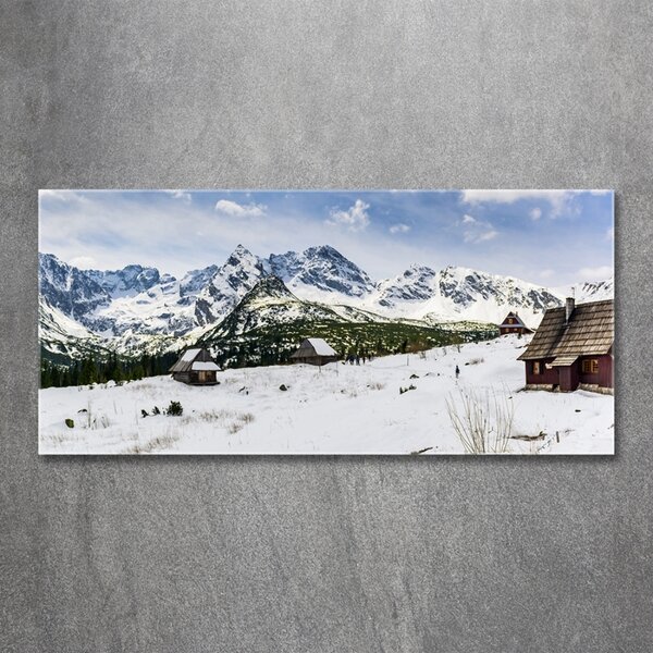 Tablou sticlă Hale Tatry