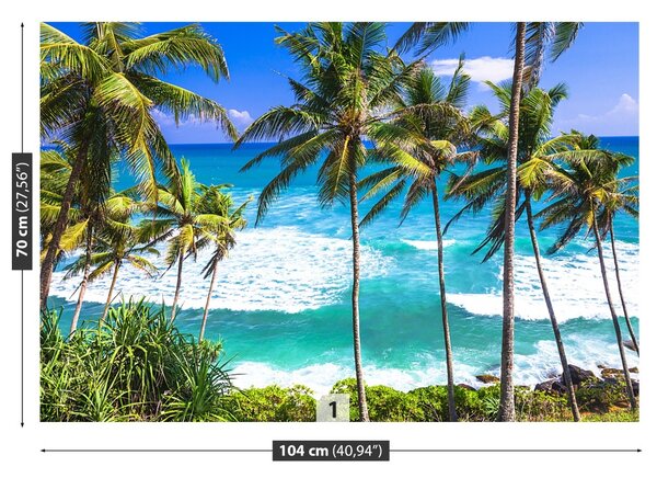 Fototapet Palm Beach Copaci