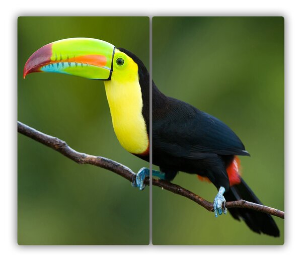 Tocator din sticla Toucan