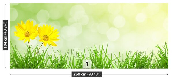 Fototapet Flori Iarbă